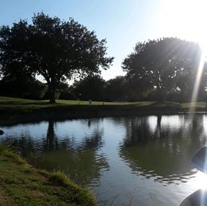 Meet your Posher, Shelby